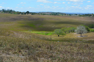 agrope34